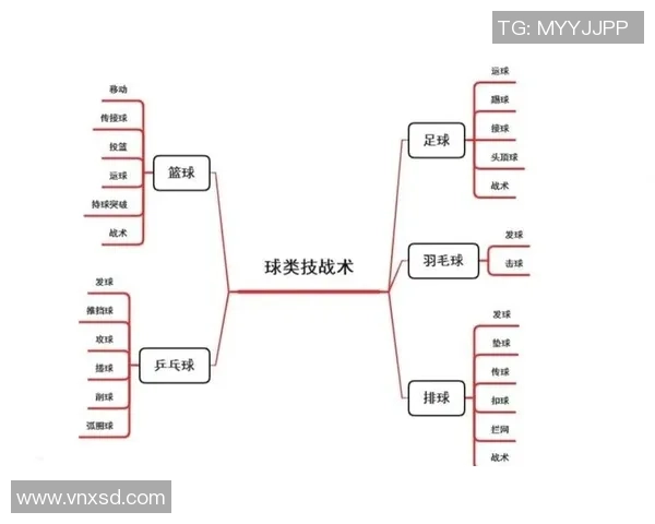 南京排球队的节奏打法深度解析与战术创新探讨