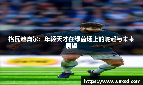 So米直播nba